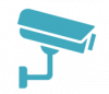 surveillance surveillance